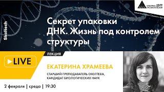 Лекция Екатерины Храмеевой "Секрет упаковки ДНК. Жизнь под контролем структуры" ("Сколтех в Архэ")