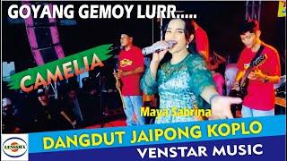 ASYIK POLL - CAMELIA - Dangdut Panggung Jaipong Koplo - @lensshaofficial DJ Remix Maya sabrina