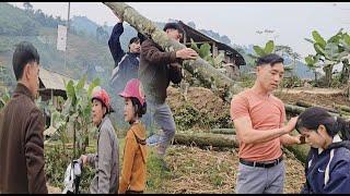 The doctor and the mute mother together prepared trees to make a new house