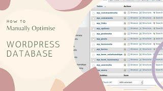How to Optimise WordPress Database to make your website secure and faster