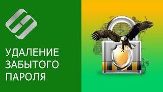 Как сбросить пароль администратора в Windows 10, 8, 7 на компьютере или ноутбуке ️