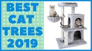 Best Cat Trees 2019 On Amazon | Top 10