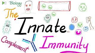 The Innate Immunity and the Complement System 