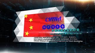China Company Registration (WFOE)