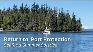 Watch Return to Port Protection (Trailer)