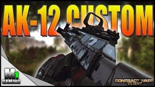 Contract Wars Client - AK12 Custom Epic Match Oldsawmill2