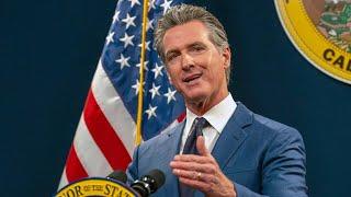 ‘Political suicide’: Gavin Newsom will ‘bide his time’ and not run against Kamala Harris