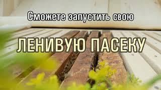 НАУЧИМ ЗАПУСКАТЬ ЛЕНИВУЮ ПАСЕКУ