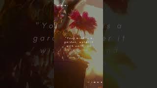 Inspirational Quote | Your Mind is a Garden #Shorts  #meditation #piano #relaxation