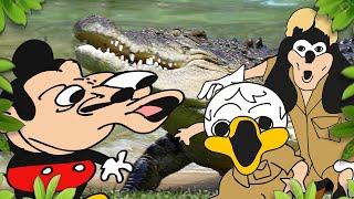 Mokey's show - 427 - Crocodile