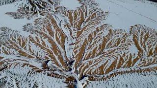 Tree-like shapes appear after snow in Tibet's Ngari