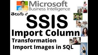 SSIS Part-10 Import Column Transformation || How to Import Images in SQL