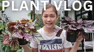 Vlog 616 Repot plants w/ me #plantitadiaries