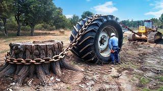 Dangerous Powerful Stump Removal Excavator Working, Incredible Wood Chipper Machines in Action