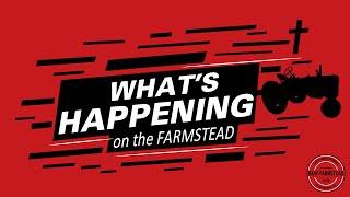 Whats Happening on the Farmstead