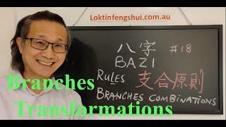 Bazi Chinese Astrology 18 Branches combination rules