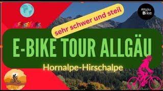 E-Bike Tour Horn Alpe-Hirsch Alpe