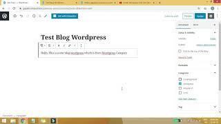 Add Post From WordPress Admin Panel