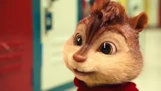 Chipmunk