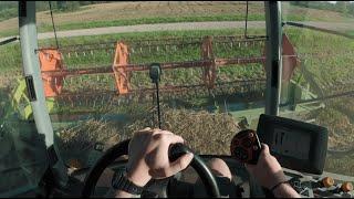 CLAAS Tucano 320 - POV harvesting wheat