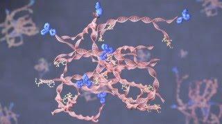 Genisphere - 3DNA Medical Animation