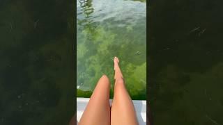 Beautiful views! #floridakeys #florida #ocean #feet #pedicure #fish #colors