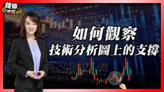 如何觀察技術分析圖上的支撐【錢線追蹤-走圖小天后 林穎#3】（AI字幕）