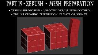 ZBrush - Mesh Preparation