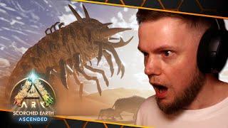 Scorched Earth Trailer Reaction! | ARK: Survival Ascended!