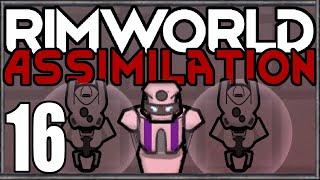 Rimworld: Assimilation #16 (Hardcore Merciless Wave Survival)