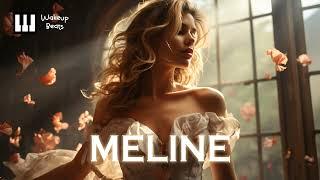 " MELINE " Arabic Oriental Type Beat | Turkish Reggaeton Balkan Instrumental | Prod by WakeUp Beats