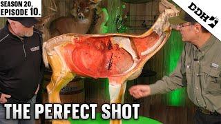 The Perfect Shot | Deer & Deer Hunting TV