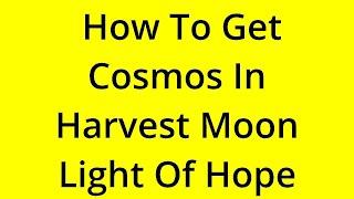 HOW TO GET COSMOS IN HARVEST MOON LIGHT OF HOPE? [SOLVED]