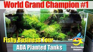 Aquascape Art Grand Champion World #1 Planted Tanks Mini Warehouse Tour ADA Systems - Fishy Business