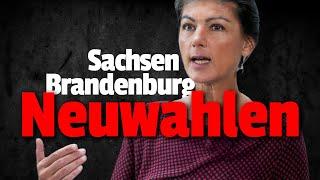 SUPERGAU! Neuwahlen wegen BSW in Sachsen und Brandenburg