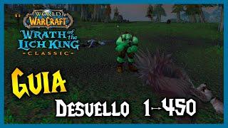 GUÍA subir DESUELLO   (1 - 450) || RUTAS de FARMEO || WoW WotLK Classic