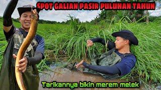 Bikin Betah! Pesta Strike Belut Besar Penghuni Galian Pasir | Eel Fishing