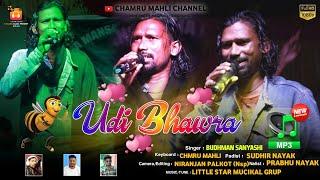 Singer Budhman Sanyashi | उड़ी भंवरा Udi Bhawra | Theth Nagpuri Song| Nagpuri Video | Chamru Mahli|