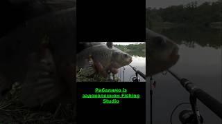 Ух, "лапоть" який! #риболов #fishing #рибу #carp #fish