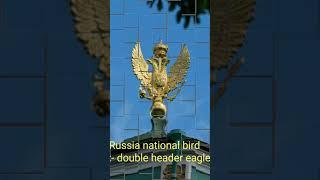 Russia national symbols ।  Russia national Game russia country #shorts