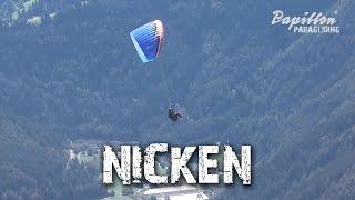 Papillon Lehrvideo: Nicken