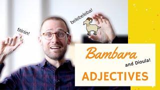 Adjectives in Bambara/Dioula | Basic Bambara 18