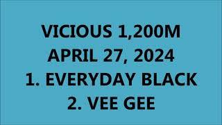 EVERYDAY BLACK / VEE GEE VICIOUS 1,200M