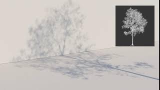 3DsMax Shadow Animation