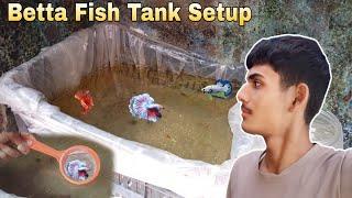 Betta Fish tank setup || Molly Fish || Betta Fish Breeding || Guppy Fish || Oscar Fish