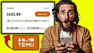 How I Made $3,989 My FIRST Month With The TEMU Affiliate Program