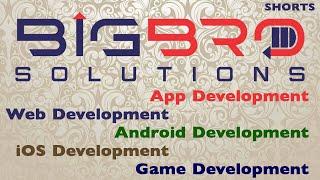 BIG Bro Solutions: Crypto Website, Software, Mobile Application, Web 3, Dapp Developer, and more...