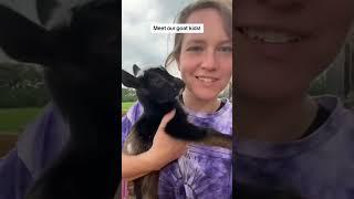 Meet the goat babies! #farmanimals #goats #goat #babygoats #goatkids #babyanimals