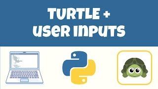 Python Turtle + User Inputs