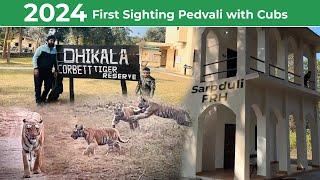 Jim Corbett | Tiger Sighting in Dhikala Safari | Pedwali and Cubs